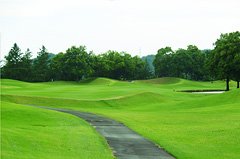 Hole11写真