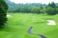 Hole6写真