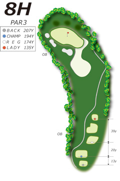 Hole8コース図